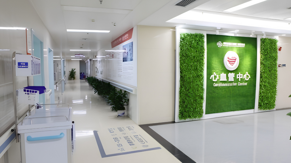 Nanjing Medical Hospital