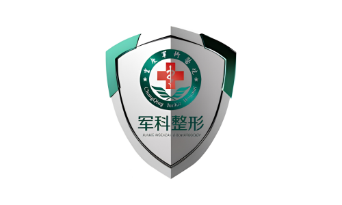 PLA-Affiliated Military Plastic Surgery