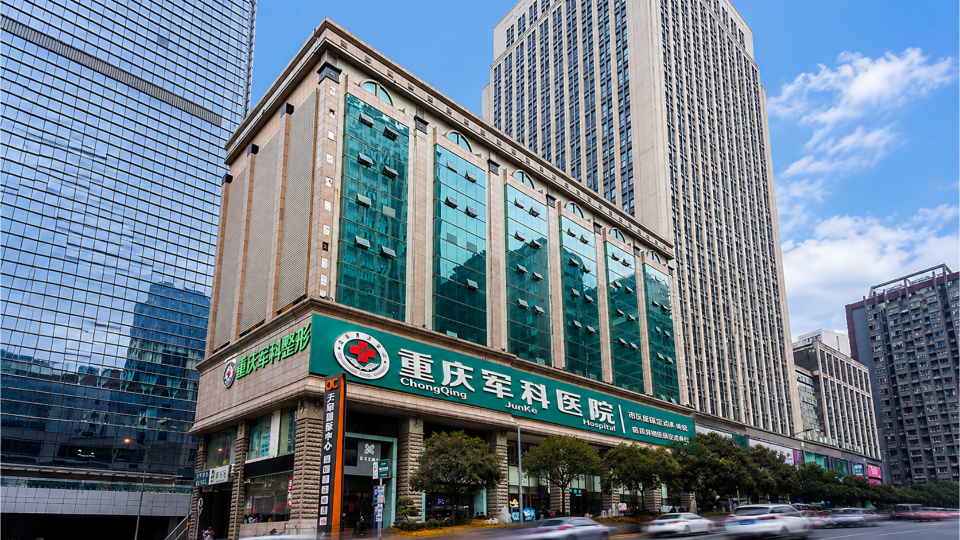 PLA-Affiliated Military Plastic Surgery