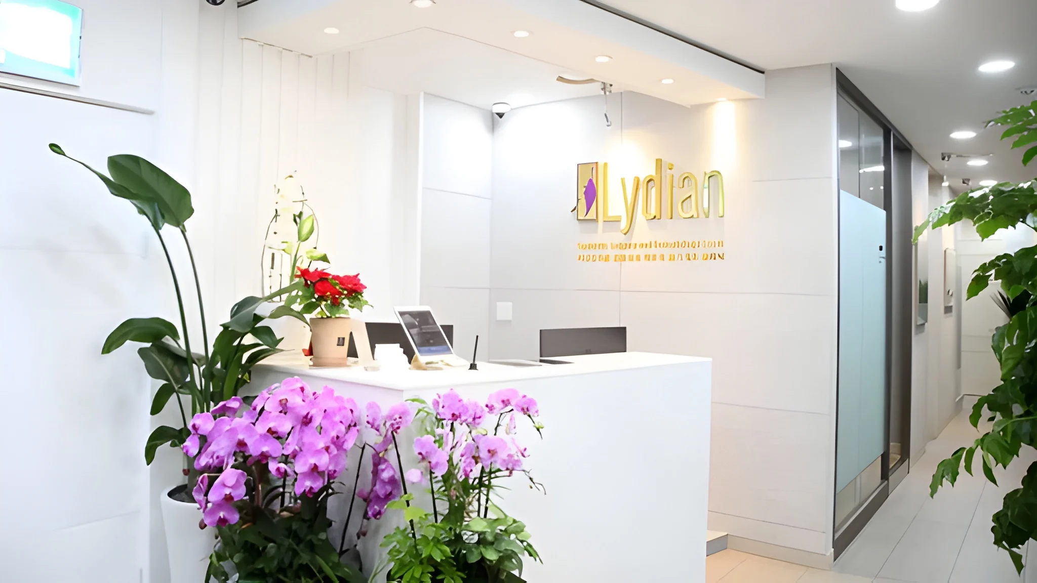Lydian Plastic Surgery