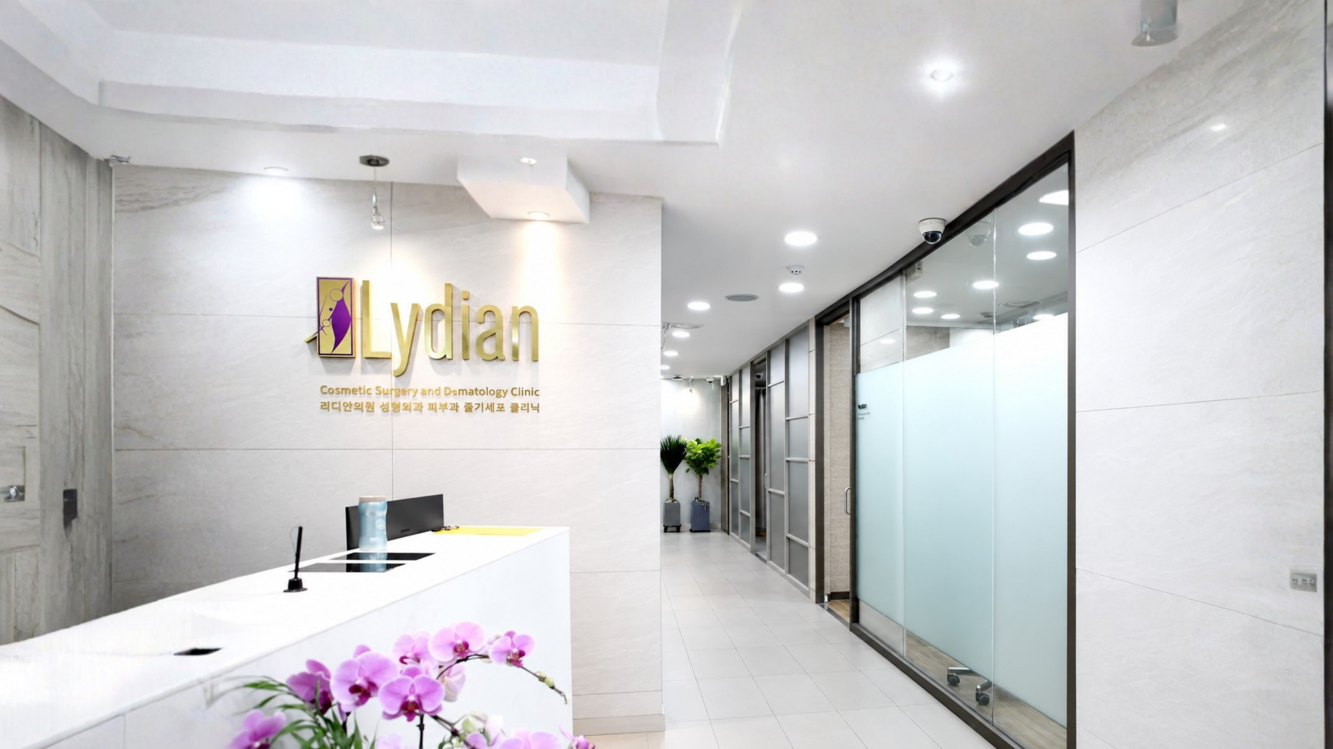 Lydian Plastic Surgery