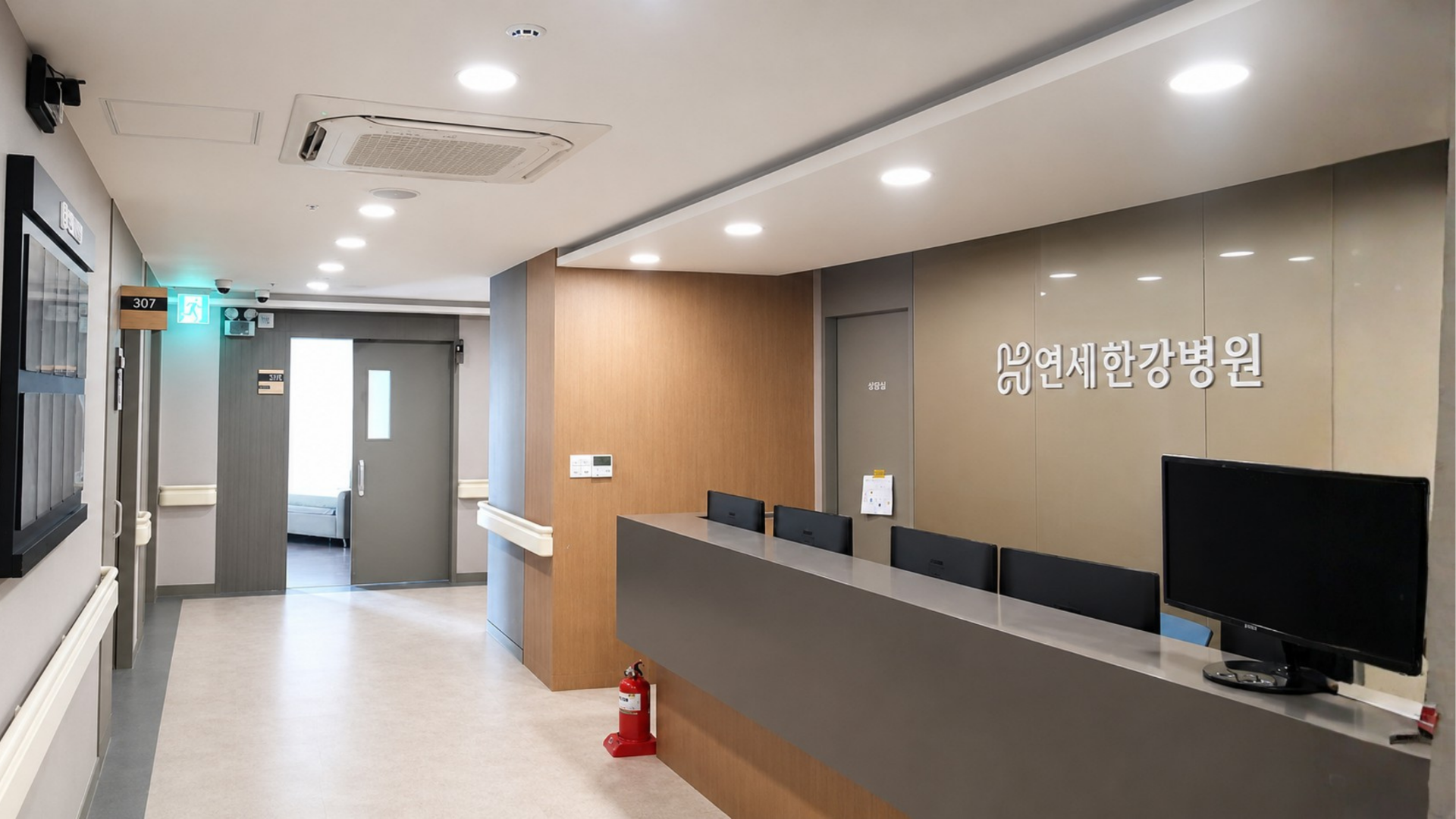Yonsei Hangang