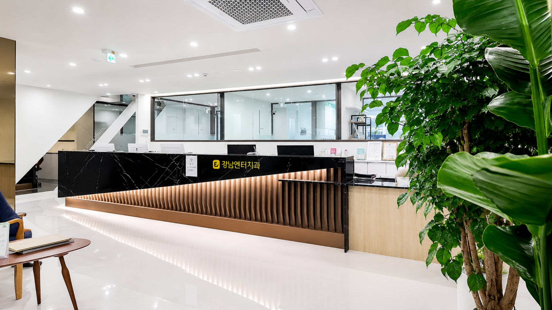 Gangnam Enter Dental Clinic